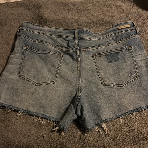 Pilco and the Letterpress Anthropologie - Picture 4 of 7